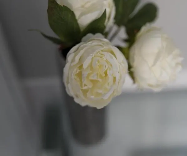 Apartament Golfo Dei Poeti Retreat La Spezia